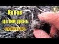 ЦІЛИЙ ДЕНЬ У ПОШУКАХ З КВАЗАРОМ. Коп по полям з металошукачем Квазар АРМ. Пошук монет та старовини