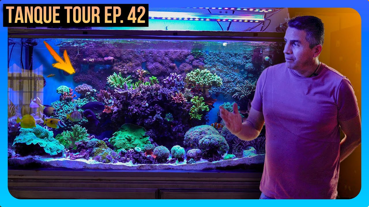 TANQUE TOUR Ep. 42 / Jorge Godínez | OSO REEF