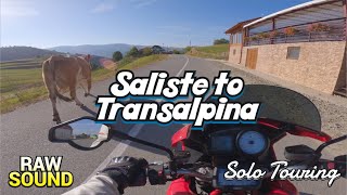 Saliste - Transalpina Full Route - Multistrada 1000 DS [4K]