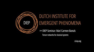 DIEP Seminar: Tensor networks for classical systems by Mari Carmen Banuls