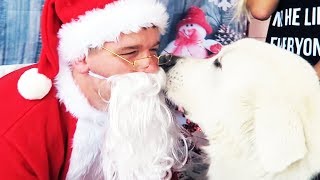 DOG MEETS SANTA FOR THE FIRST TIME - (Super Cooper Sunday #172)