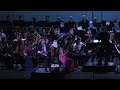 Capture de la vidéo Njys Youth Symphony With Francis Goya