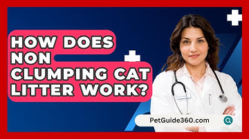 How Does Non Clumping Cat Litter Work? - PetGuide360.com