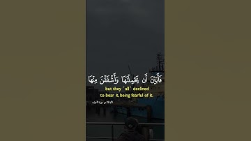 تلاوة عطرة لآيات من كتاب الله #القرآن_الكريم #القرآن #الله #اكسبلور #foryou #راحة_نفسية #fyp