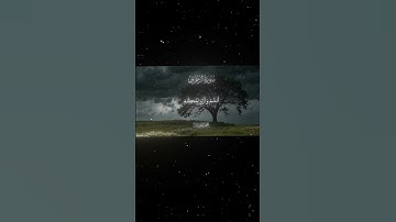 سورة الزخرف|68-71|القارئ:#محمد_اللحيدان #قران #quran #راحة_نفسية #قران_كريم #تلاوة_هادئة#تلاوة_خاشعة