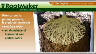 RootMaker