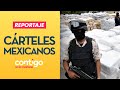 REPORTAJE | Los vínculos de los cárteles mexicanos en Chile - Contigo en La Mañana