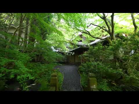 京都　瑠璃光院：「鏡紅葉」で一躍人気スポットの瑠璃光院。青もみじの瑠璃光院と院内