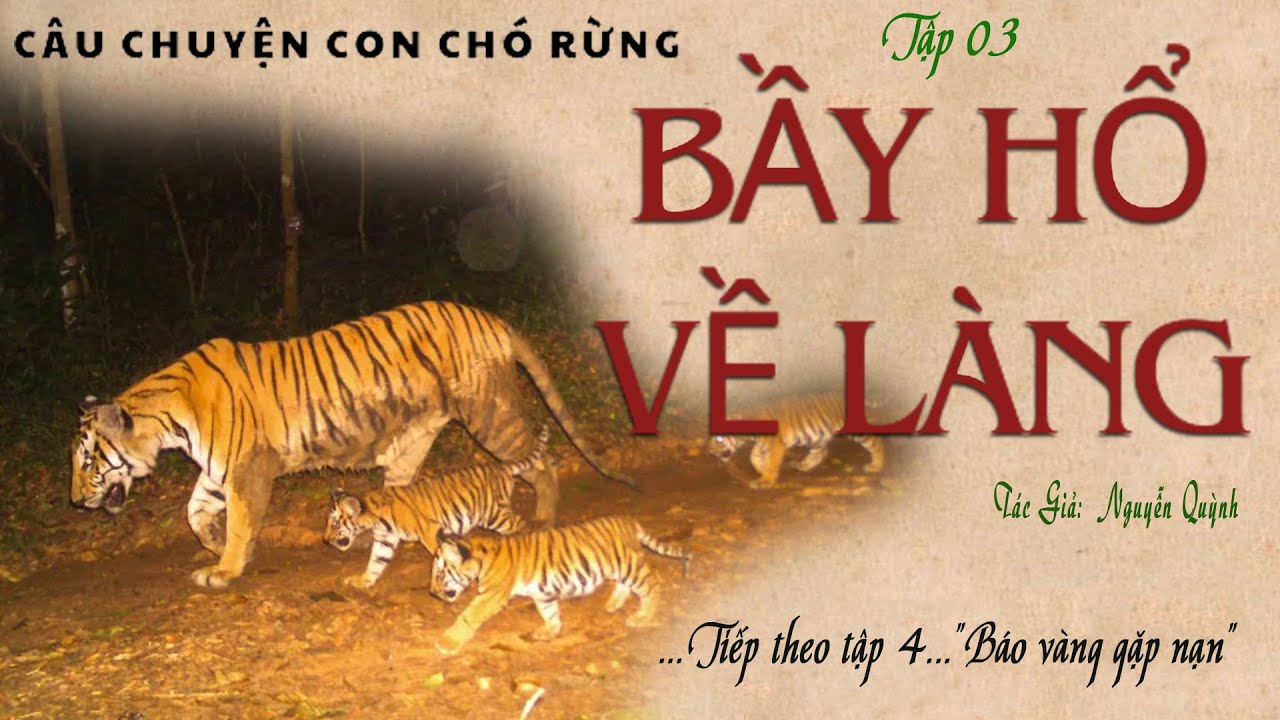 Truyện Dài Con Chó Rừng Tập 03: BẦY HỔ VỀ LÀNG | Nguyễn Quỳnh | Kênh Cô ...