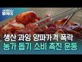 햇양파 가격 폭락...양파김치 나누기 등 소비 촉진 운동 / YTN 사이언스