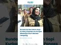 Bunda Eva Serahkan Sapi Kurban Presiden Ke Ponpes Madarijul Ulum Bandar Lampung