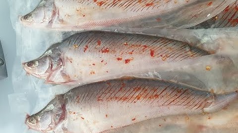 Cá thác lác rút xương khuyến mãi chỉ: 29k | Hải Sản 99