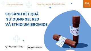 So Sánh Kết Quả Sử Dụng Gel Red Và Ethidium Bromide