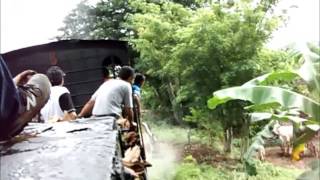 Steam Locomotive - Cepu Forest Railway (December 28,2008)