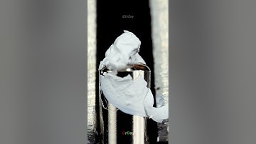 Correction pen  #urday #macro#closeup