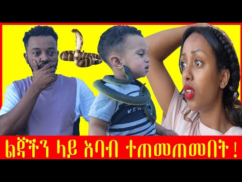 ቪዲዮ: ራፋ አዲስ ስብስብ ለማምረት ከUS የመዝናኛ አልባሳት ብራንድ የውጪ ድምጾች ጋር አጋርቷል።