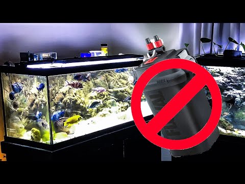 I CHANGED MY MIND about AQUARIUM FILTERS!