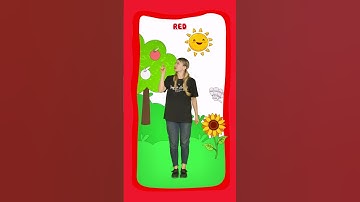 Bé học tiếng Anh qua bức tranh đầy màu sắc | Green blue yellow #binggoleaders #cartoon #colors