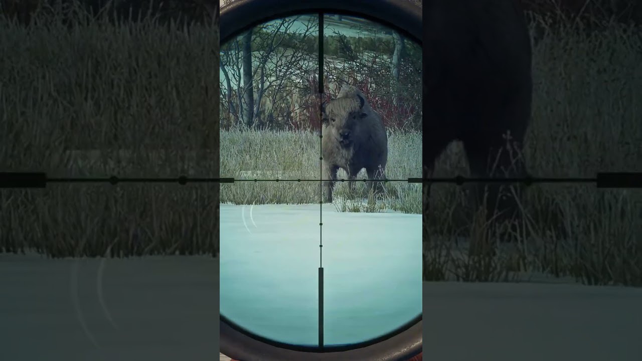 First EVER very Rare Wood Bison! Caught in Early Access