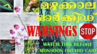Orchid Care in Rainy Season Pt-2 || മഴക്കാല ഓർക്കിഡ് രോഗങ്ങൾ