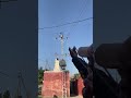 Bird Shocked by Perfect Aim  #Slingshot #BirdHunting #VillageLife #DesiHunting #AmazingShot #Shorts