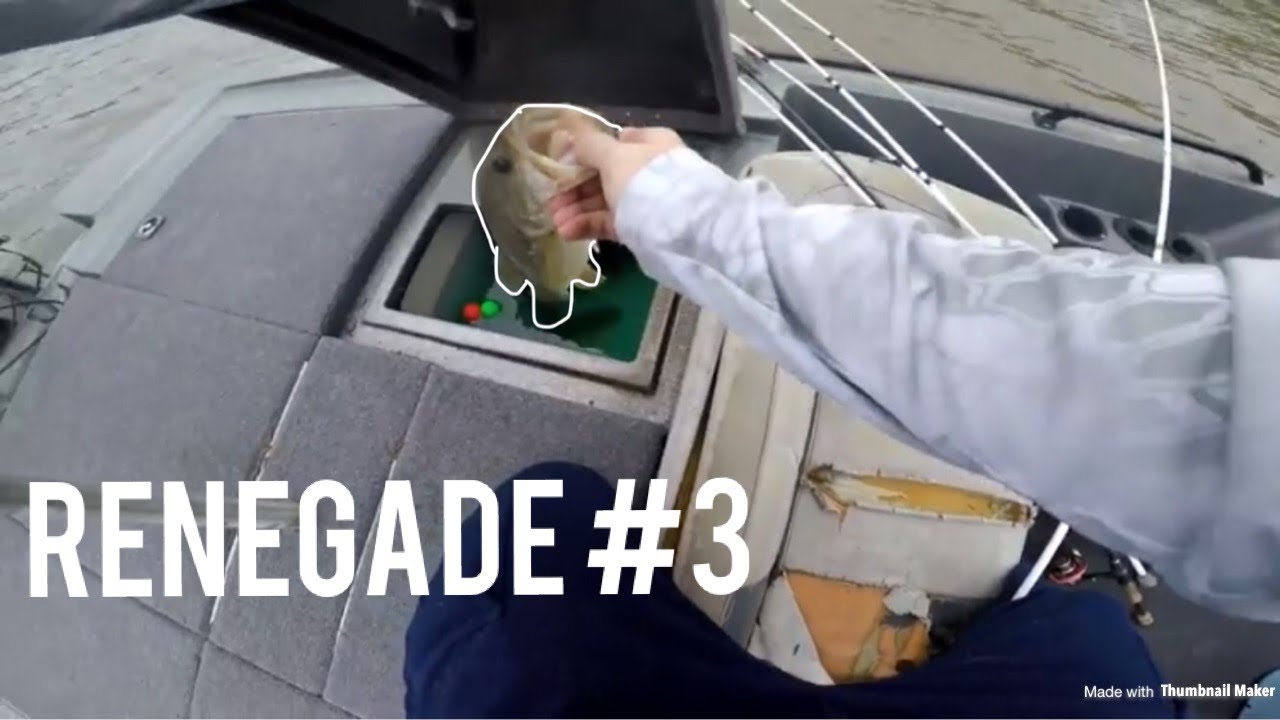 video editing software free These Fish Keep Me Humble~ Renegade Series #3