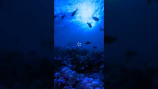 your theme is BLUE ##blue #fypシ #dark #ocean #oceanwaves