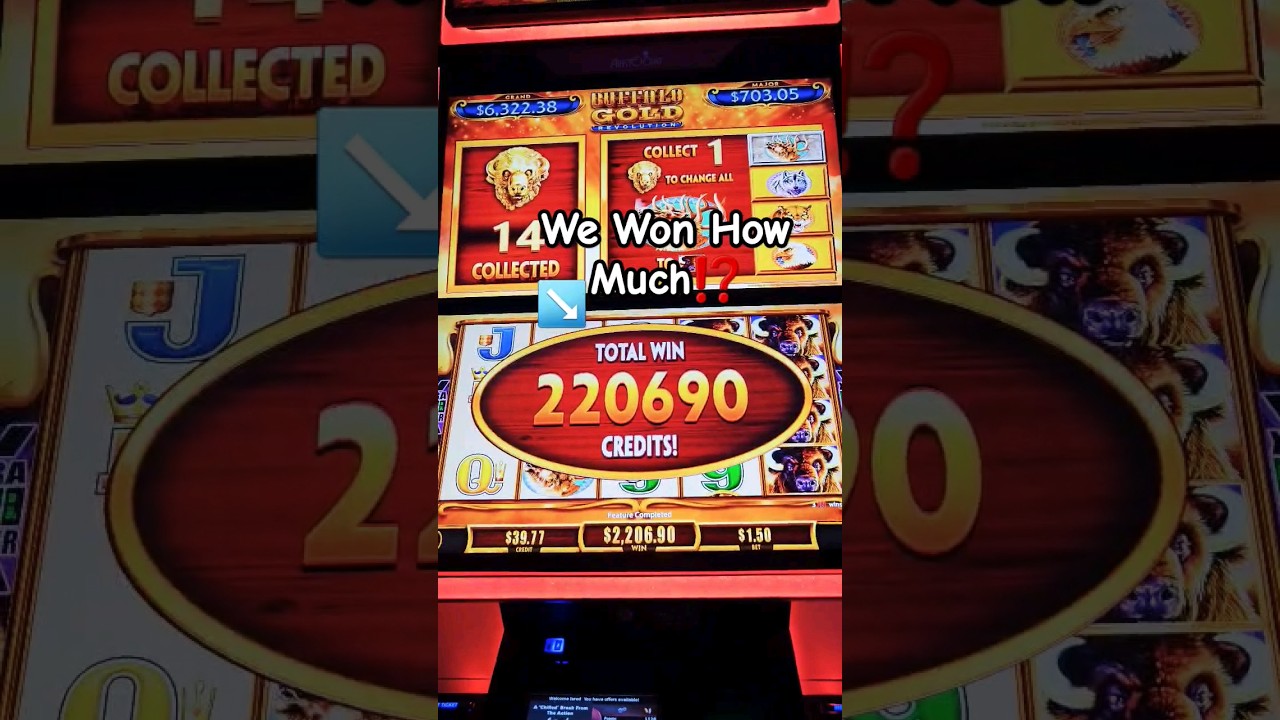 BIGGEST BUFFALO JACKPOT OF MY LIFE 