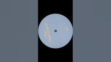 Fly Insect - Greengate Cats Club EP (PARTOUT6.09) Vinyl 12"