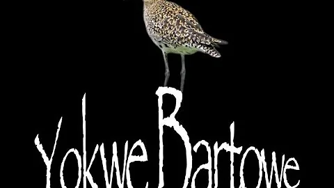 YOKWE BARTOWE (Poor Bartowe),  produced by Microwa...
