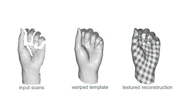 Robust Single-View Geometry and Motion Reconstruction