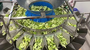 High Tek USA’s 20 Head Weigher - Sliced Apples 2oz, 5oz, & 40oz - W/ Syntegon’s SVE-3220 DZ