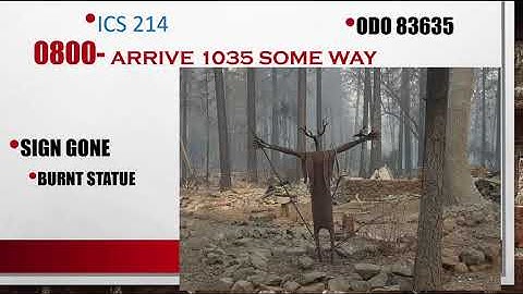 Critical Documentation