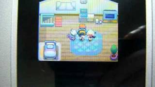 ポケモンhgss かがやくはっぱ5枚取ると Pokemon Lastse7en