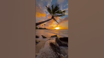 سورة البقرة آية 164: القارئ/محمد جواد سوالمة