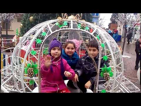 საახალწლოდ მორთული  ნაძვის ხეები.   новогодние елки