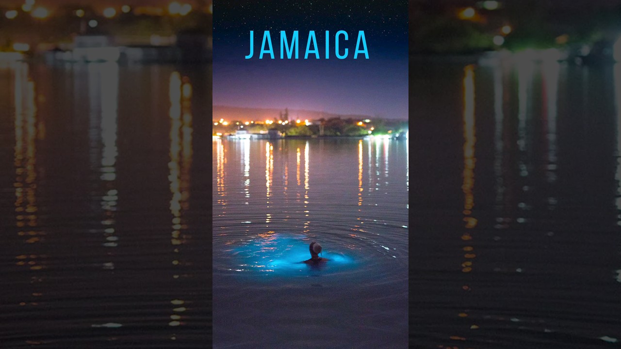 Jamaica Glowing Water Experience Luminous Lagoon Glistening Waters Jamaica Glowing Water Experience Luminous Lagoon Glistening Waters