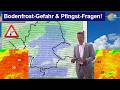 Baldiges Kälte-Ende, aber Bodenfrostgefahr! Zu Pfingsten Unsicherheiten: ECMWF 30°, GFS rund 20°!