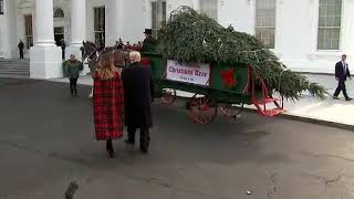President Trump and Melania welcome the White House Christmas Tree