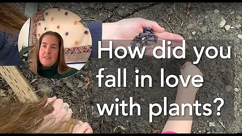 Plant Love Stories: Katie Hopper