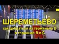 Аэропорт Шереметьево как добраться из терминала D в терминал B и C. Шатл между терминалами.
