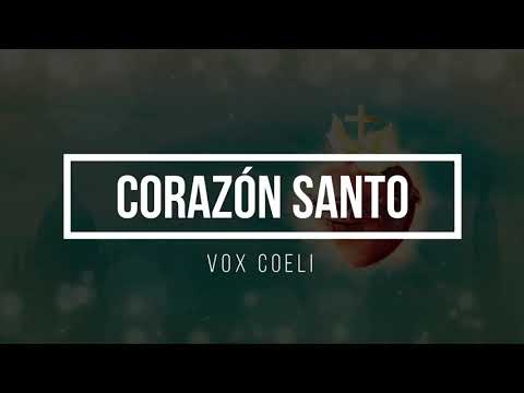 Corazón Santo (Sagrado Corazón de Jesús)  @VoxCoeli