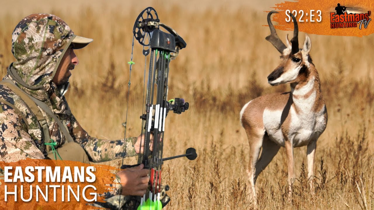 Bow Hunting Public Land Antelope YouTube