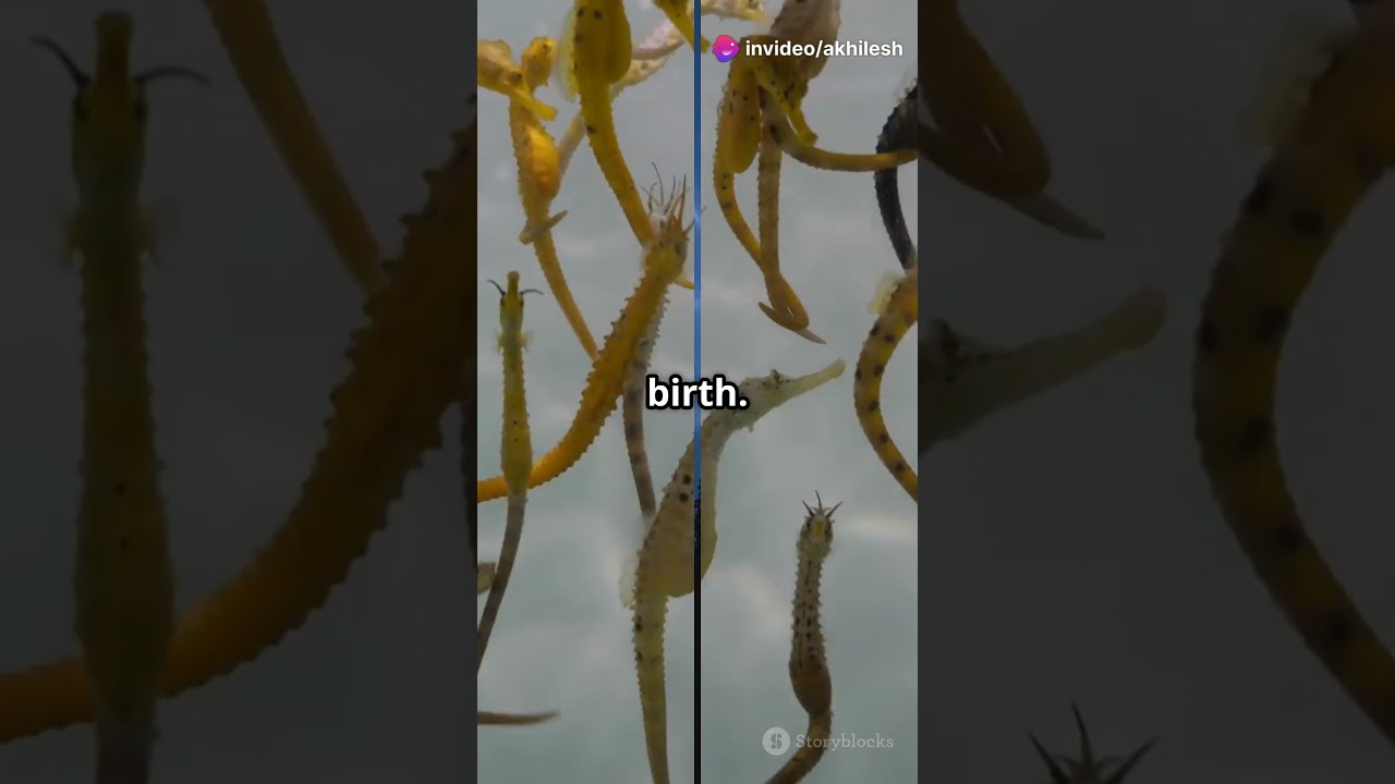 3 Mind Blowing Nature Facts You Won't Believe