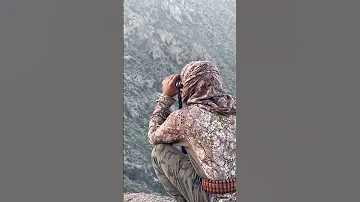 ويطري عليه ازين مقانيصه العام ابيات من ذهب جزل القصيد شعر مقناص صيد 