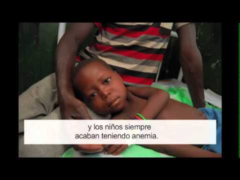 Vídeo: El Mercado De Pruebas Y Tratamiento De La Malaria En Kinshasa, República Democrática Del Congo,