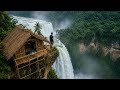 120 Day Challenge Building a Bamboo House on a Dangerous Cliff Using Primitive Tools, Bushcraft