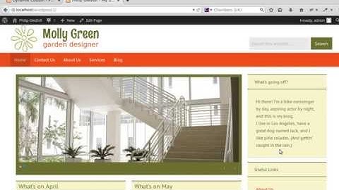 Nivo slider bg colour in Dynamik Website Builder