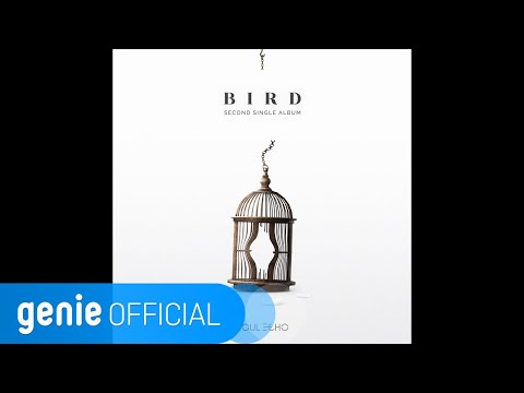 소울에코 Soul Echo - Bird Lyric Video