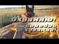 НАШЁЛ ДОРОГОЕ СЕРЕБРО.